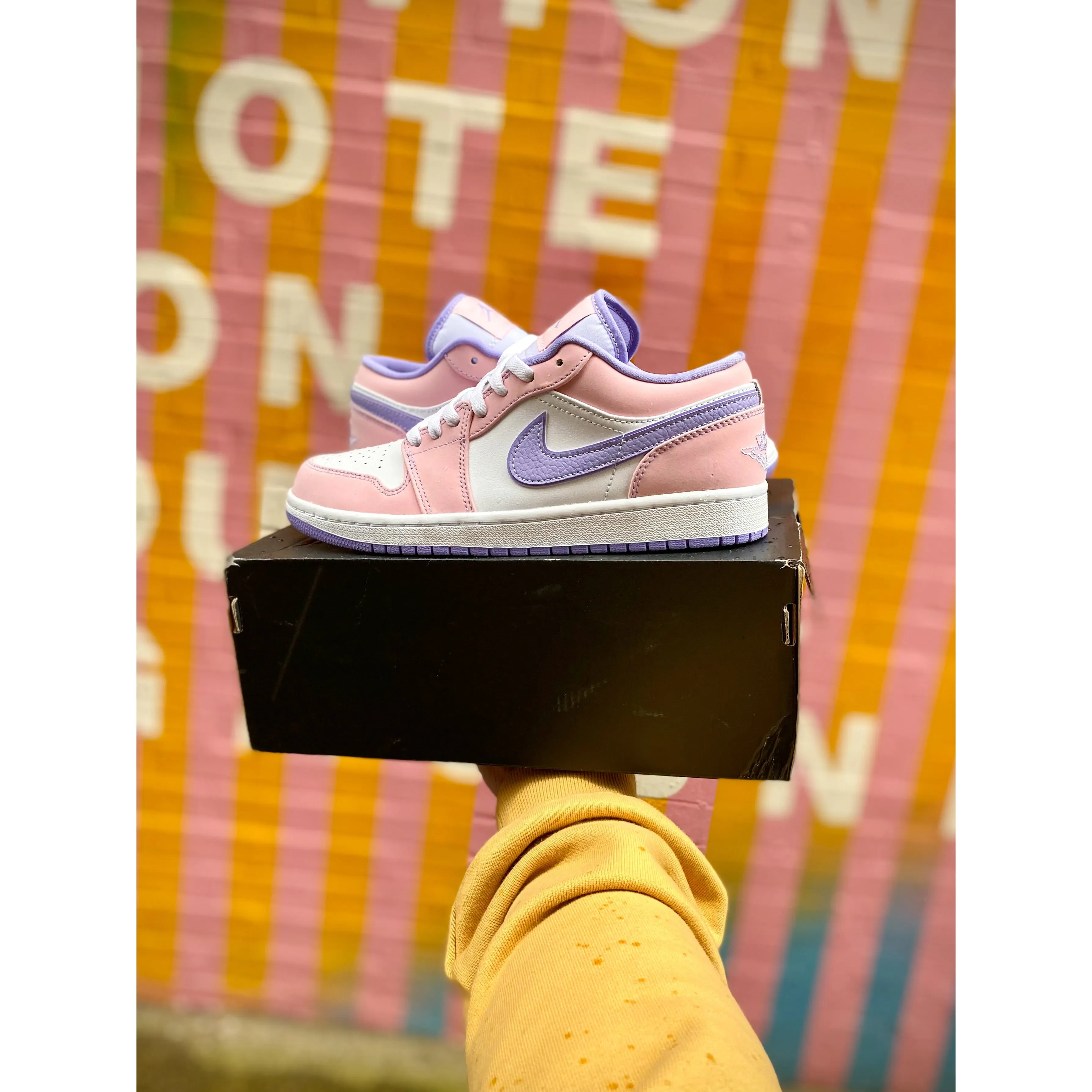 Jordan 1 Low SE Arctic Punch