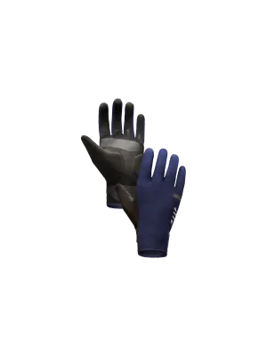 Winter Glove