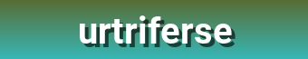 Urtriferse – Walk with Confidence in Trendy Sneakers, Luxury Loafers & Seasonal Must-Haves